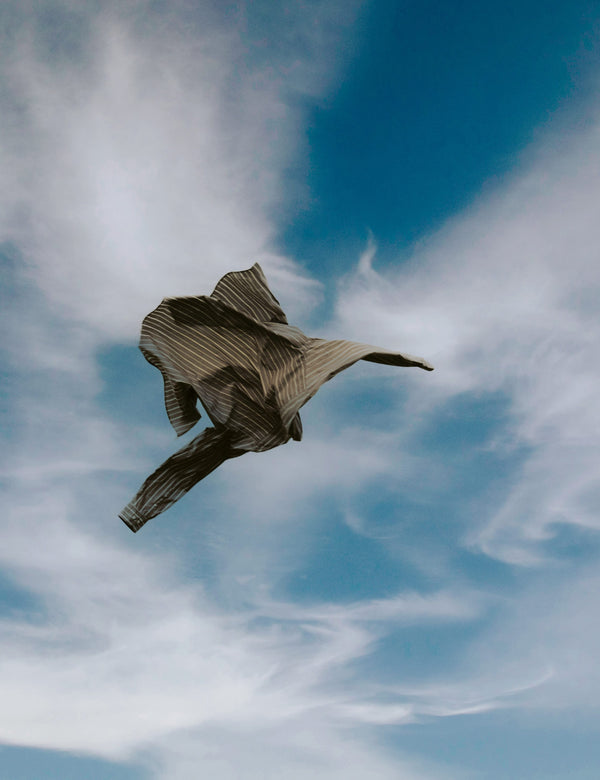 MAPLE REGULAR FIT POPLIN SHIRT - BROWN STRIPE