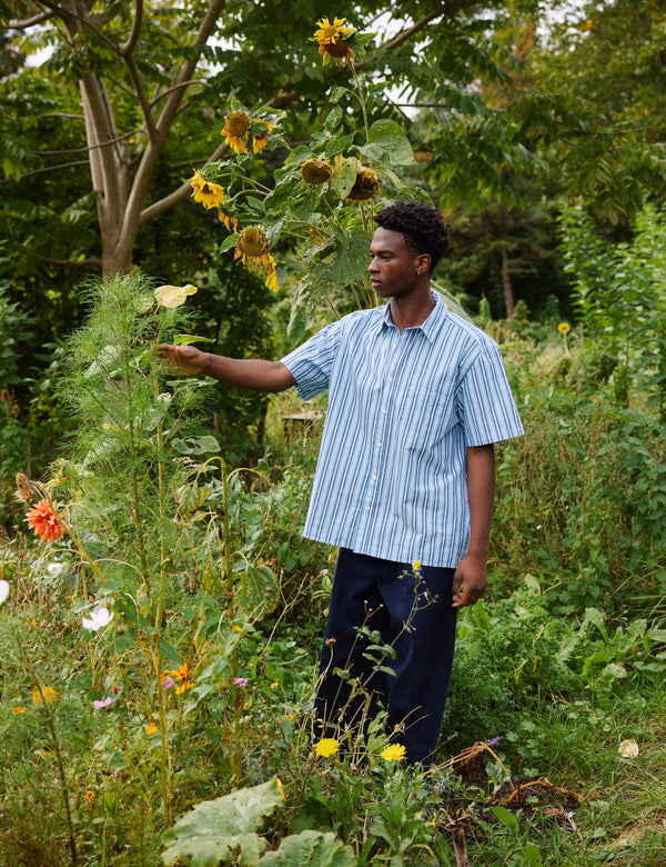 ATLAS POPLIN SHIRT - LIGHT BLUE STRIPE