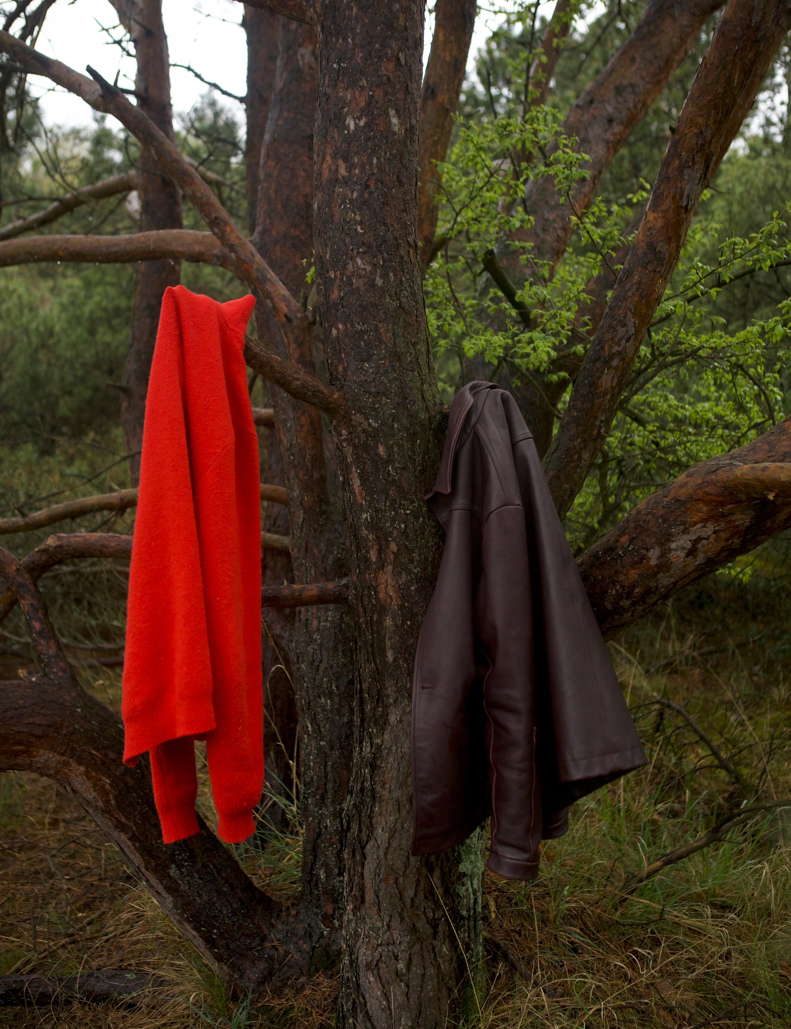 TIMBER BRUSHED POLO KNIT - RED