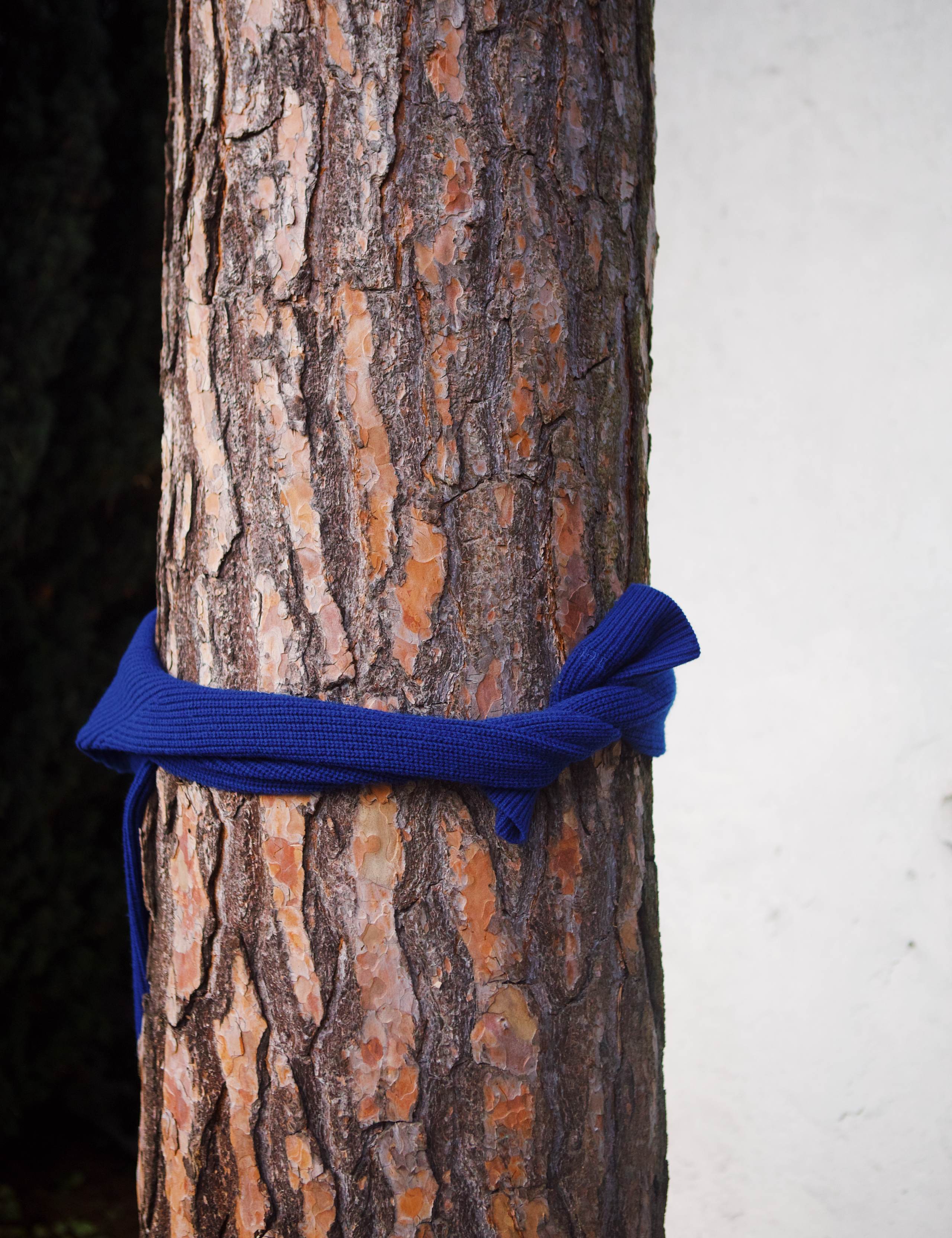 DELTA WOOL RIB KNIT - BLUE